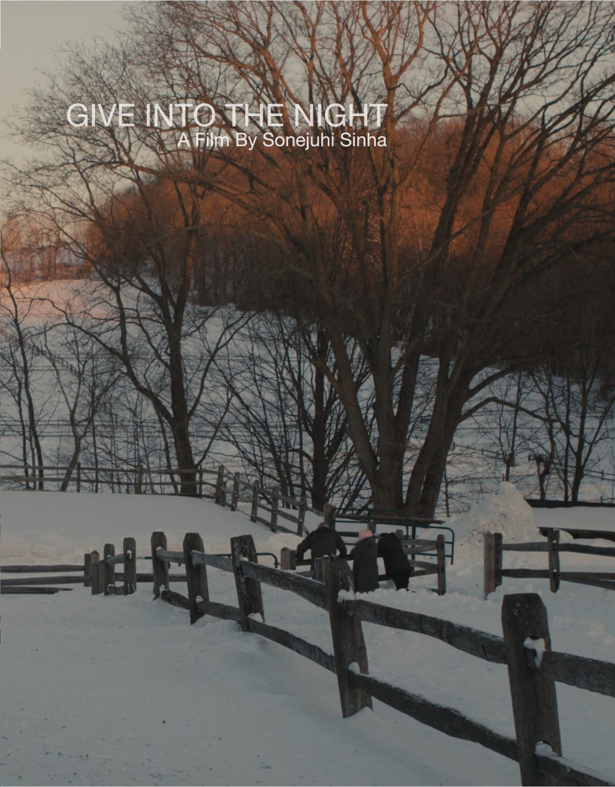 Give into The Night